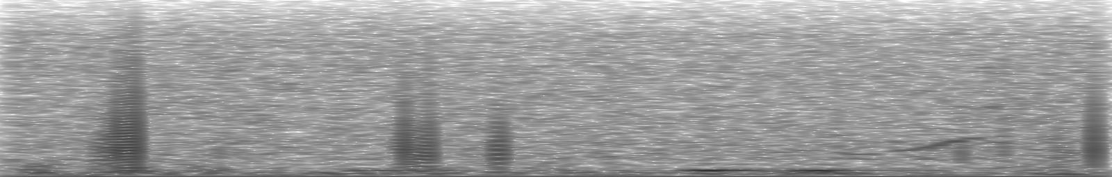 [Loading Spectrogram]