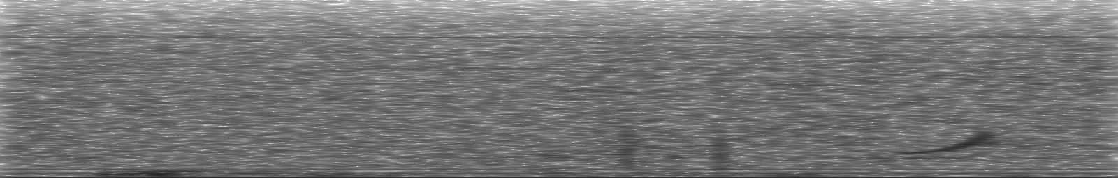 [Loading Spectrogram]