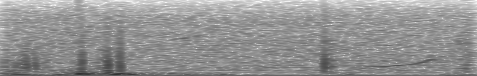 [Loading Spectrogram]