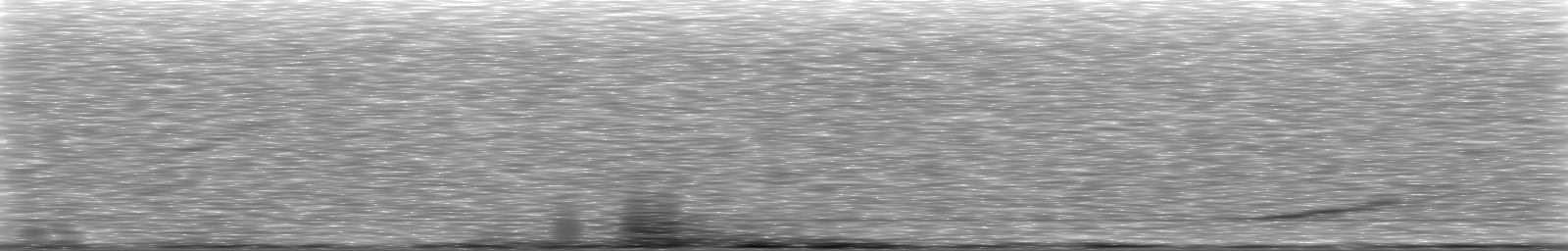 [Loading Spectrogram]