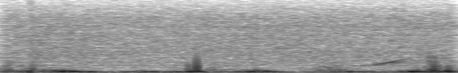 [Loading Spectrogram]