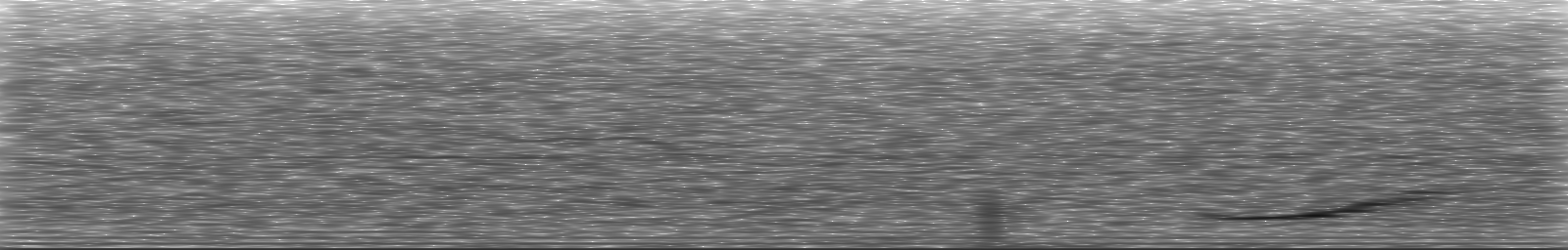 [Loading Spectrogram]