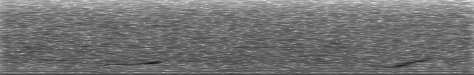 [Loading Spectrogram]