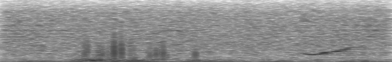 [Loading Spectrogram]