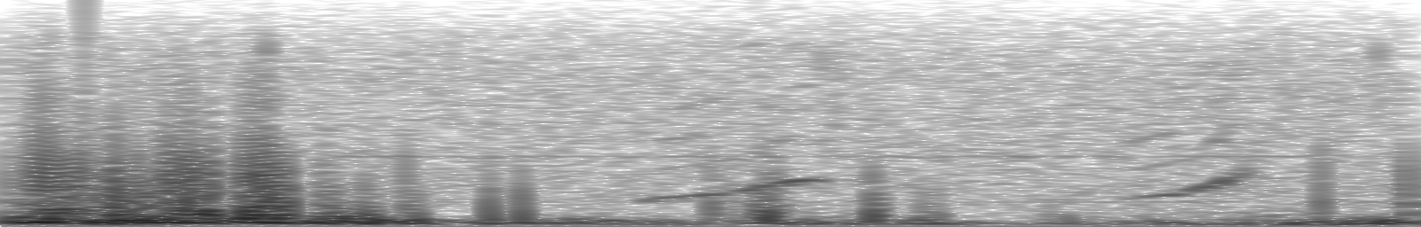 [Loading Spectrogram]