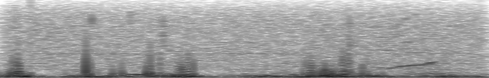 [Loading Spectrogram]