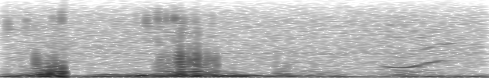 [Loading Spectrogram]