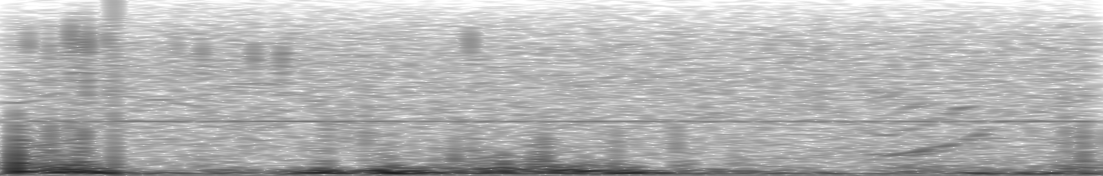 [Loading Spectrogram]