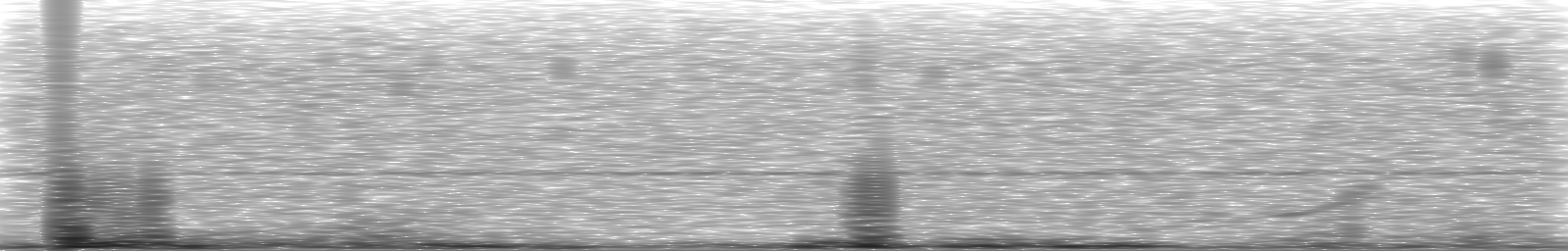 [Loading Spectrogram]