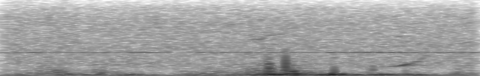 [Loading Spectrogram]