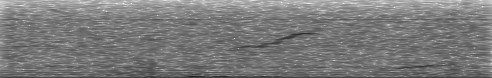 [Loading Spectrogram]