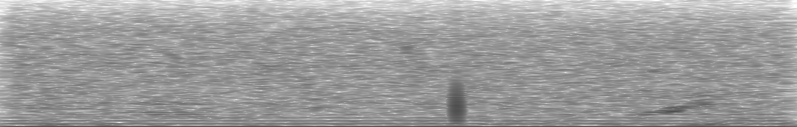 [Loading Spectrogram]