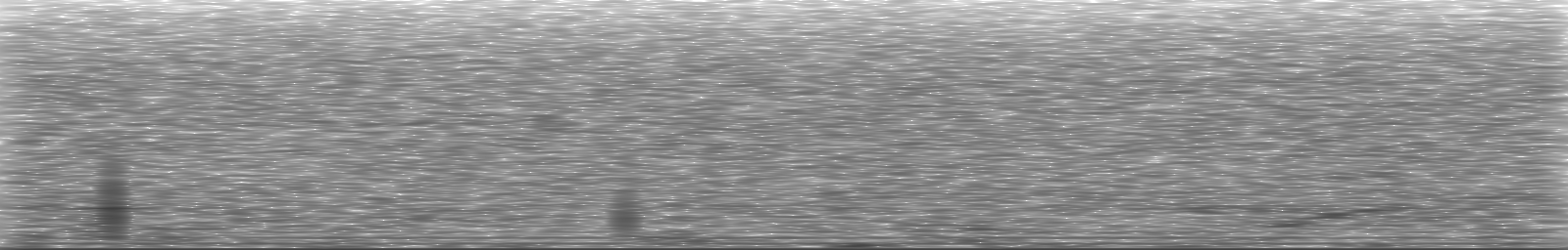 [Loading Spectrogram]