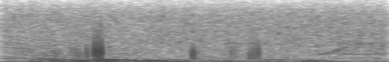 [Loading Spectrogram]