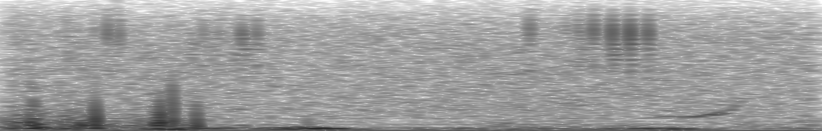 [Loading Spectrogram]