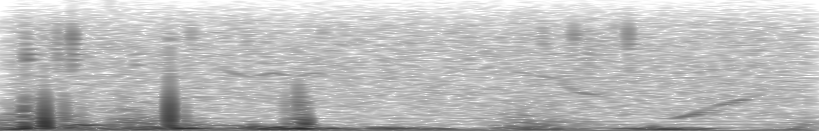 [Loading Spectrogram]