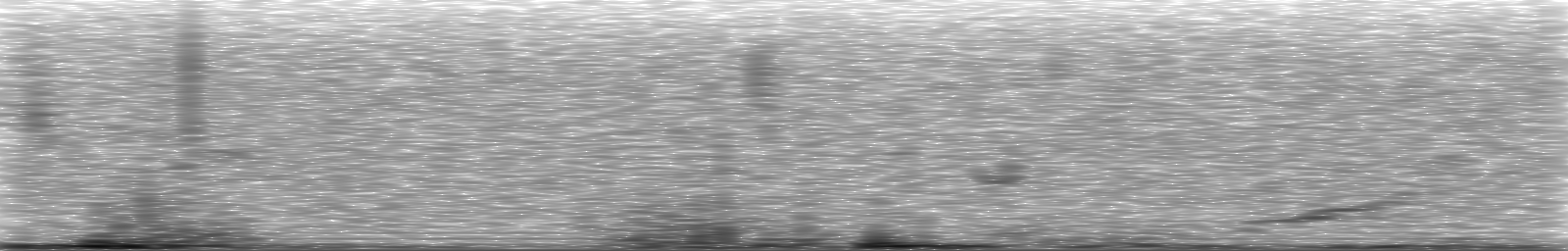 [Loading Spectrogram]