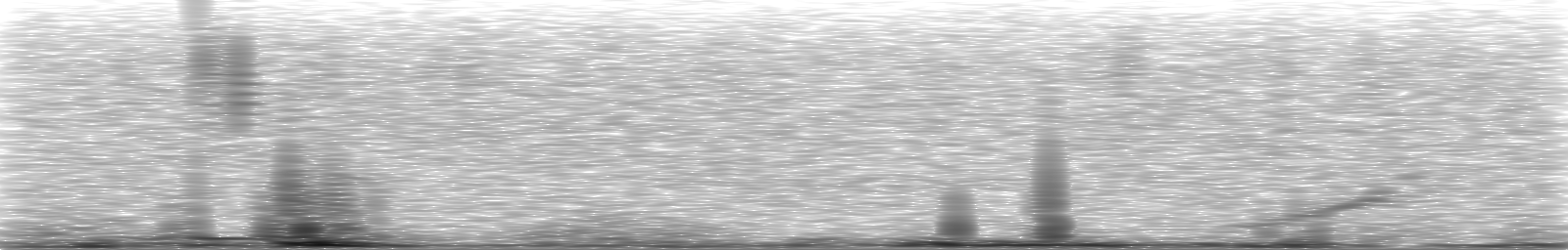 [Loading Spectrogram]