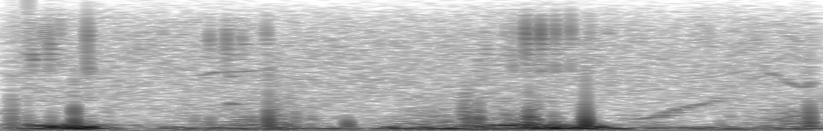 [Loading Spectrogram]