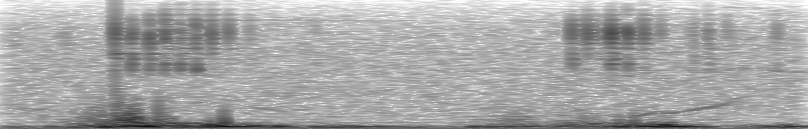 [Loading Spectrogram]