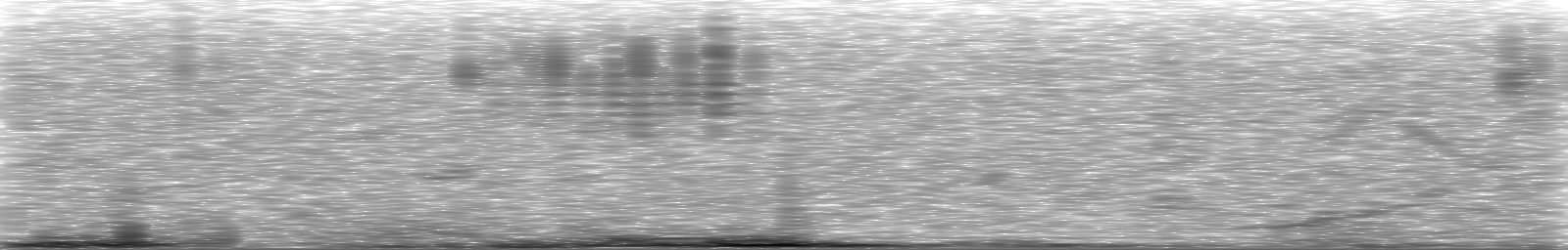 [Loading Spectrogram]