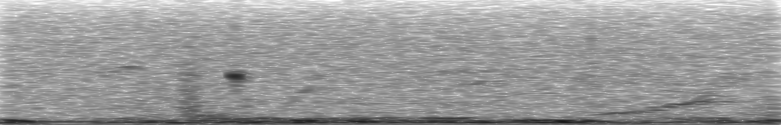 [Loading Spectrogram]