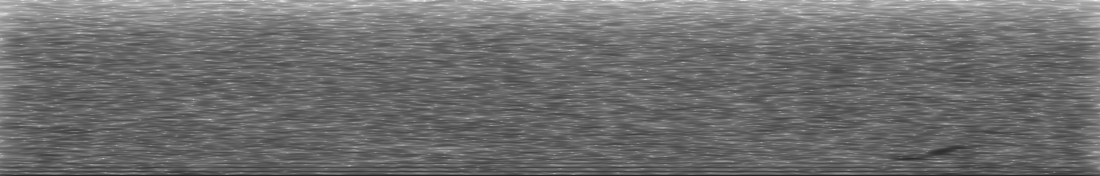 [Loading Spectrogram]