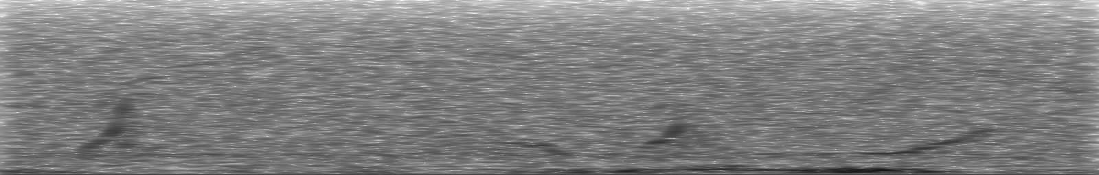 [Loading Spectrogram]