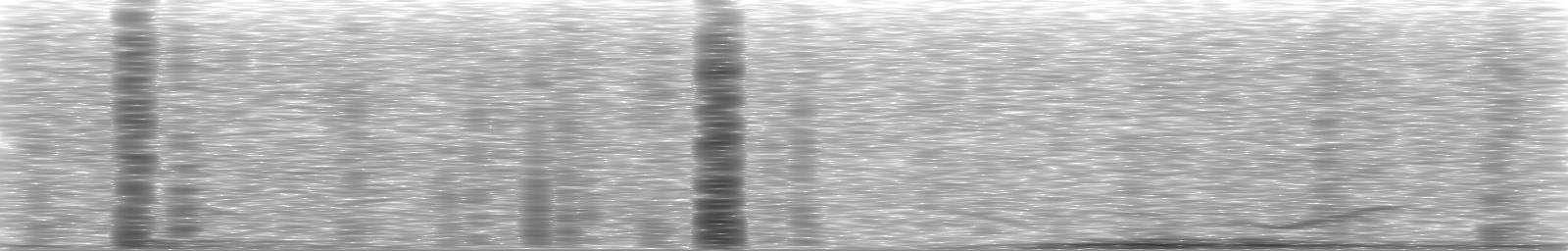 [Loading Spectrogram]