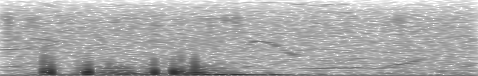 [Loading Spectrogram]