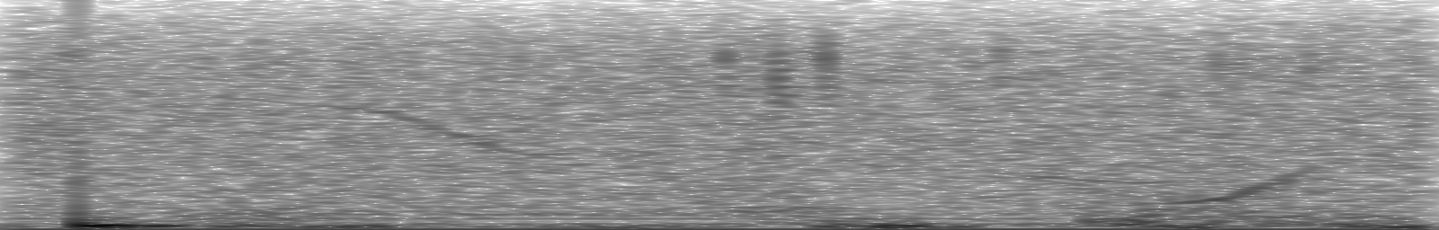 [Loading Spectrogram]