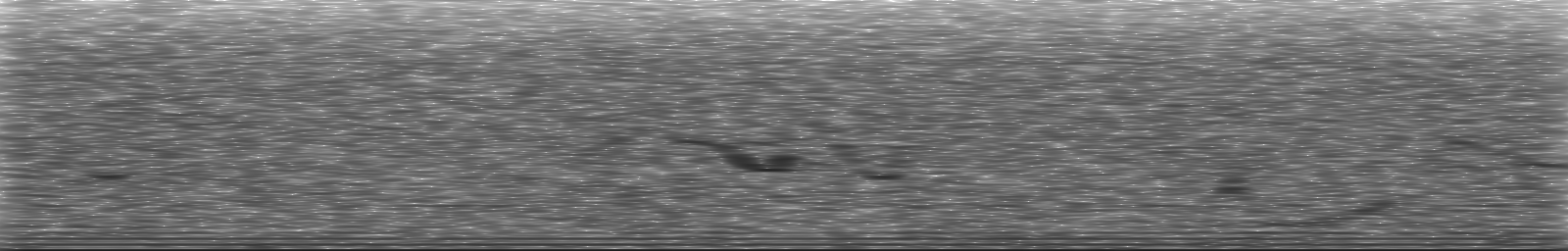 [Loading Spectrogram]