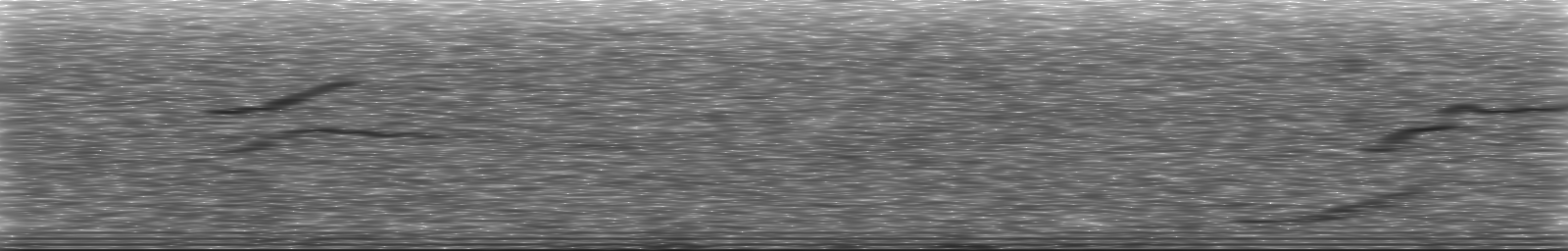 [Loading Spectrogram]