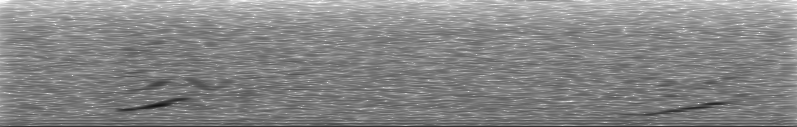 [Loading Spectrogram]