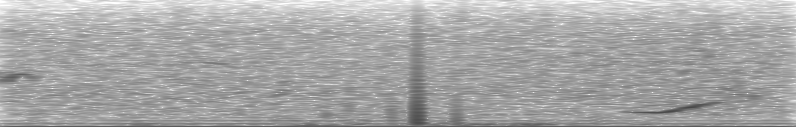 [Loading Spectrogram]