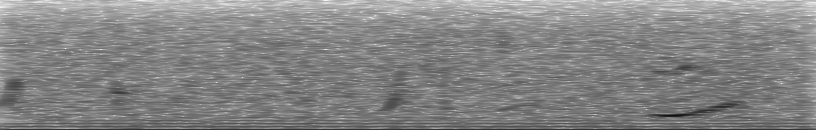 [Loading Spectrogram]