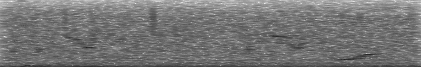 [Loading Spectrogram]