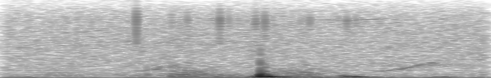 [Loading Spectrogram]