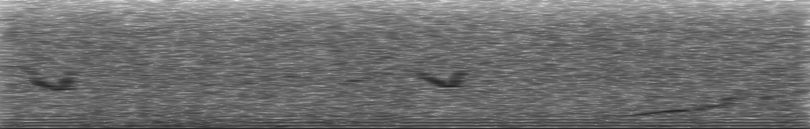 [Loading Spectrogram]