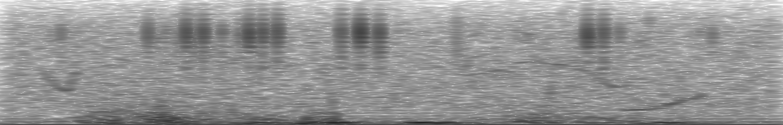 [Loading Spectrogram]