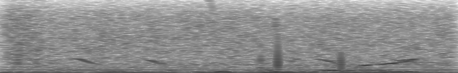 [Loading Spectrogram]