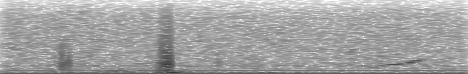 [Loading Spectrogram]