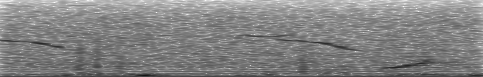 [Loading Spectrogram]