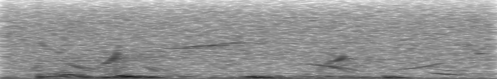 [Loading Spectrogram]