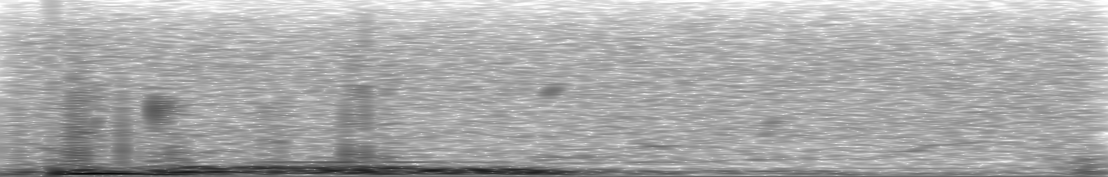 [Loading Spectrogram]