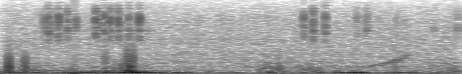 [Loading Spectrogram]