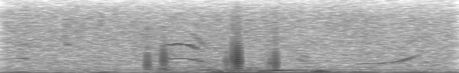 [Loading Spectrogram]