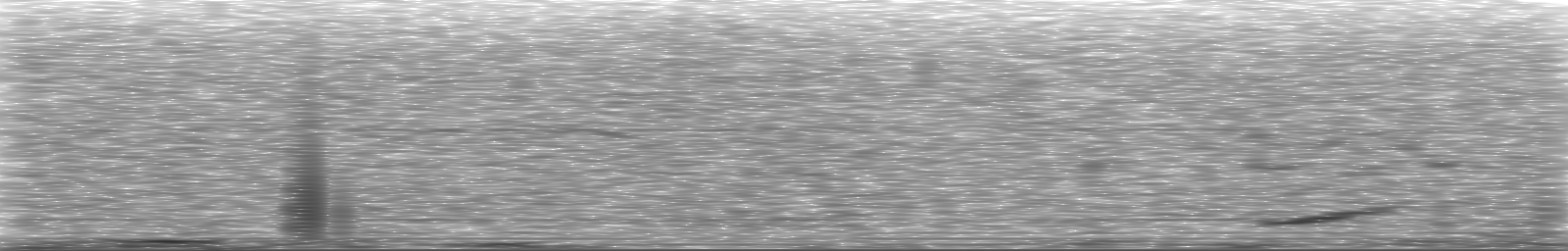 [Loading Spectrogram]