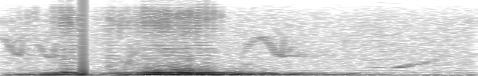 [Loading Spectrogram]