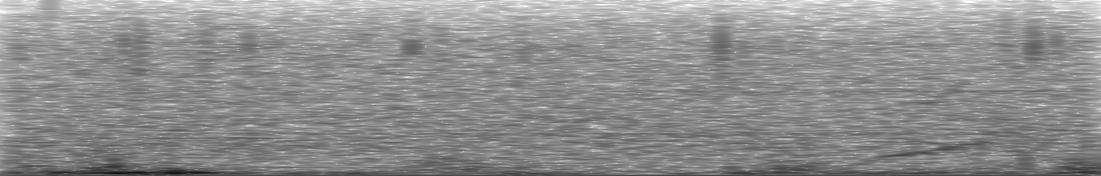 [Loading Spectrogram]